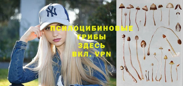 Альфа ПВП Армянск