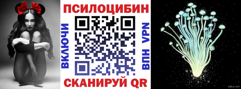 дарнет шоп Суровикино Галлюциногенные грибы Psilocybine cubensis